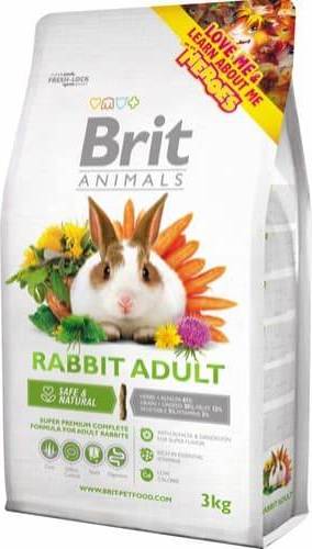 Animals Rabbit Adult Complete