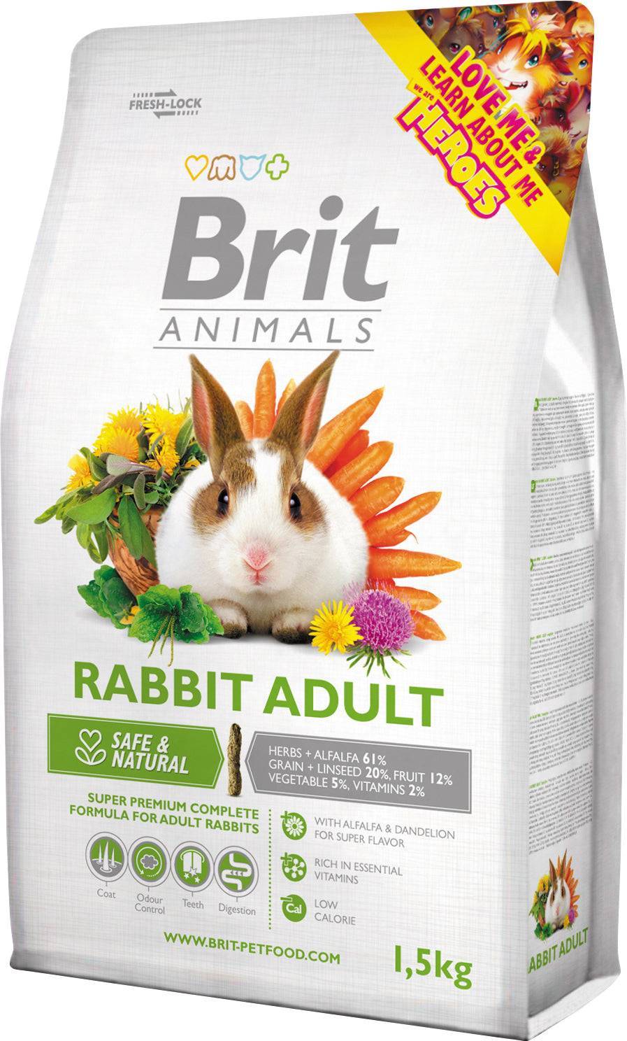 Animals Rabbit Adult Complete