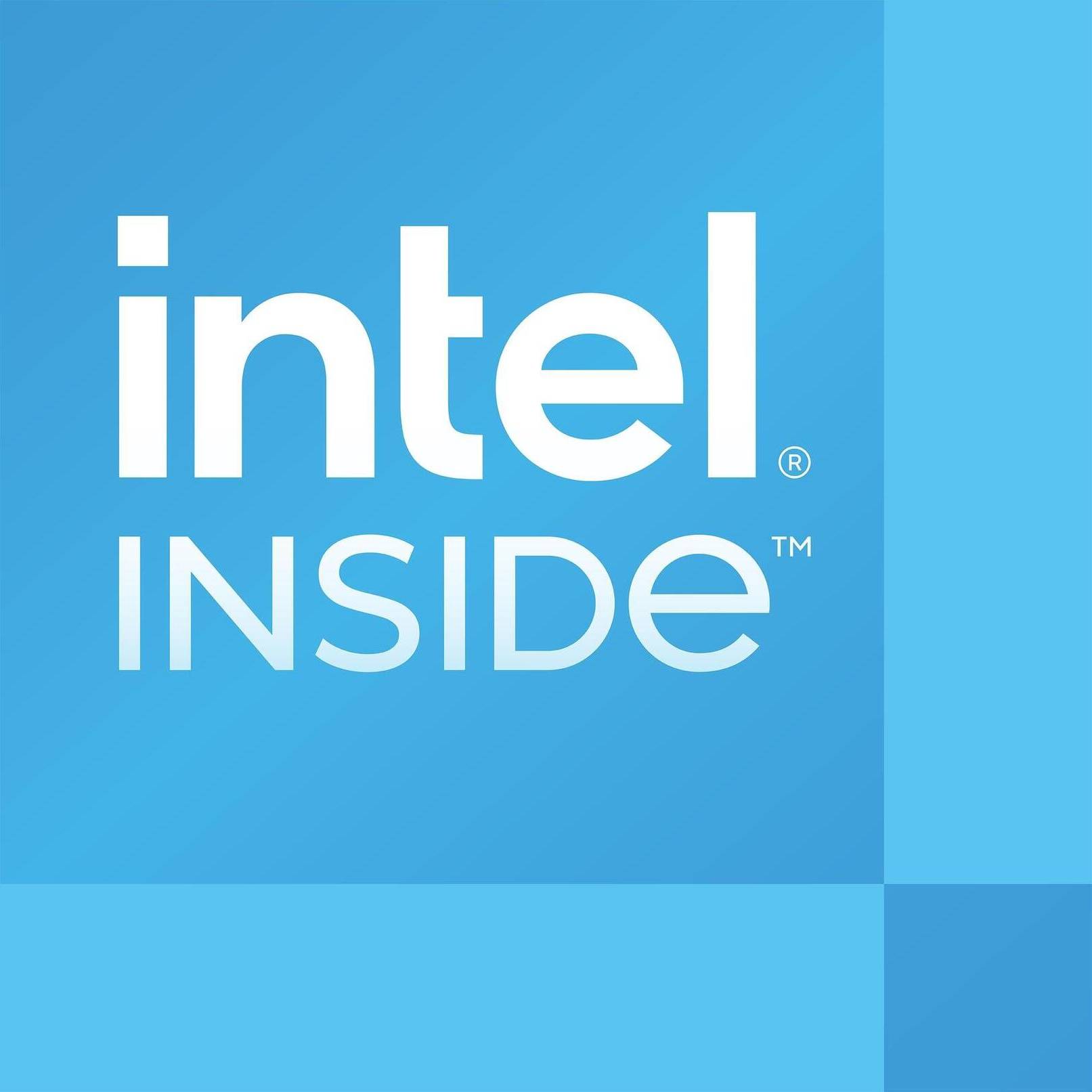 Intel Processor 300