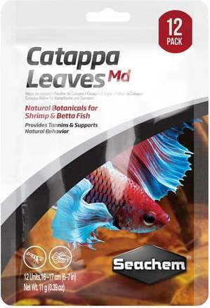 Catappa Tea Bags