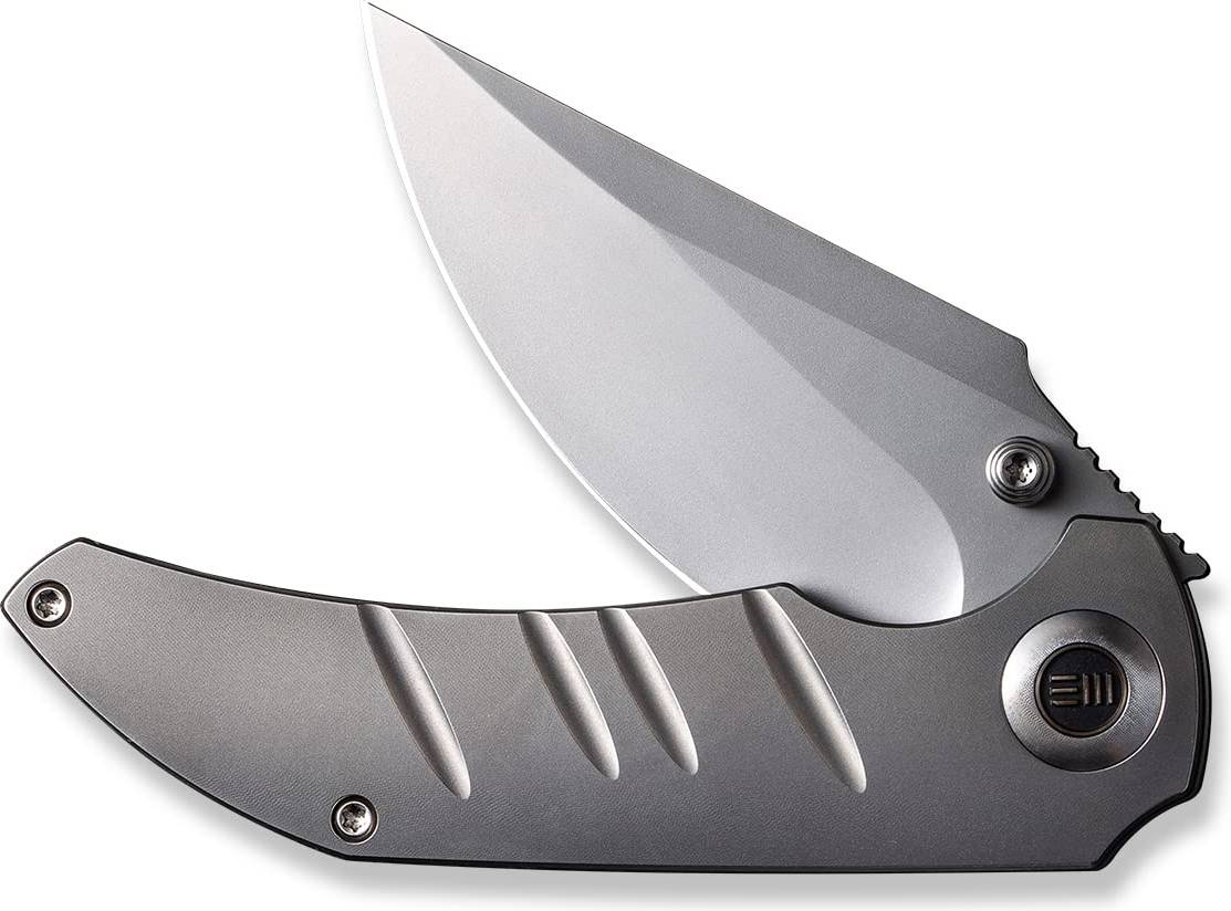 WE Riff-Raff Titanium Polished Bead Blasted Fickkniv