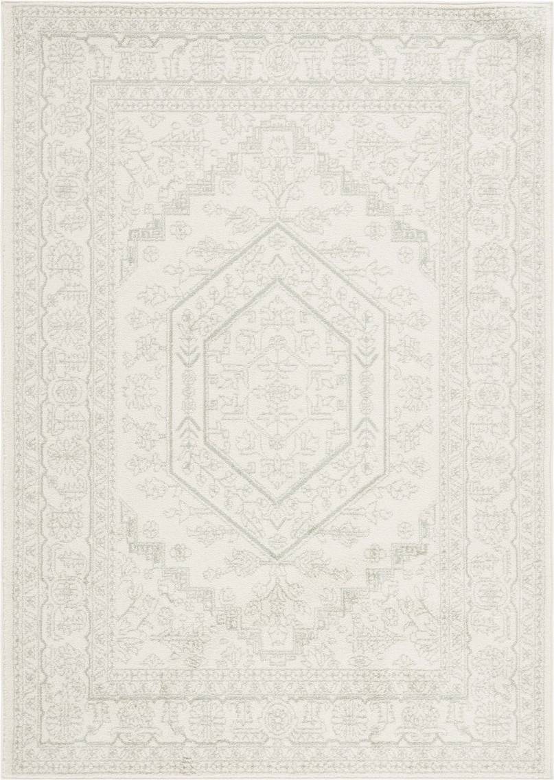 Safavieh Adirondack Collection ADR108 Rug