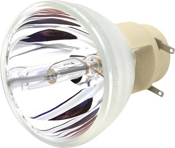 SEM Compatible Projector Lamp Bulb W1070