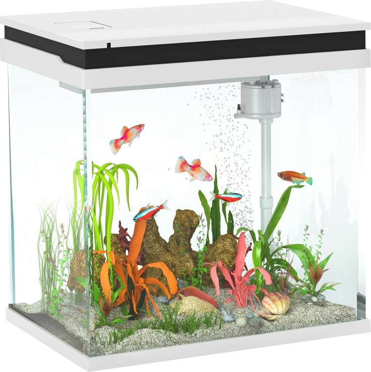 Pawhut 26L Small Fish Tank With Filter System