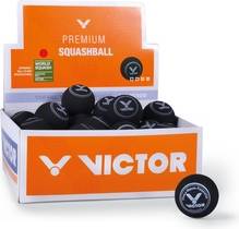 Squashball Roter Punkt 36er Box