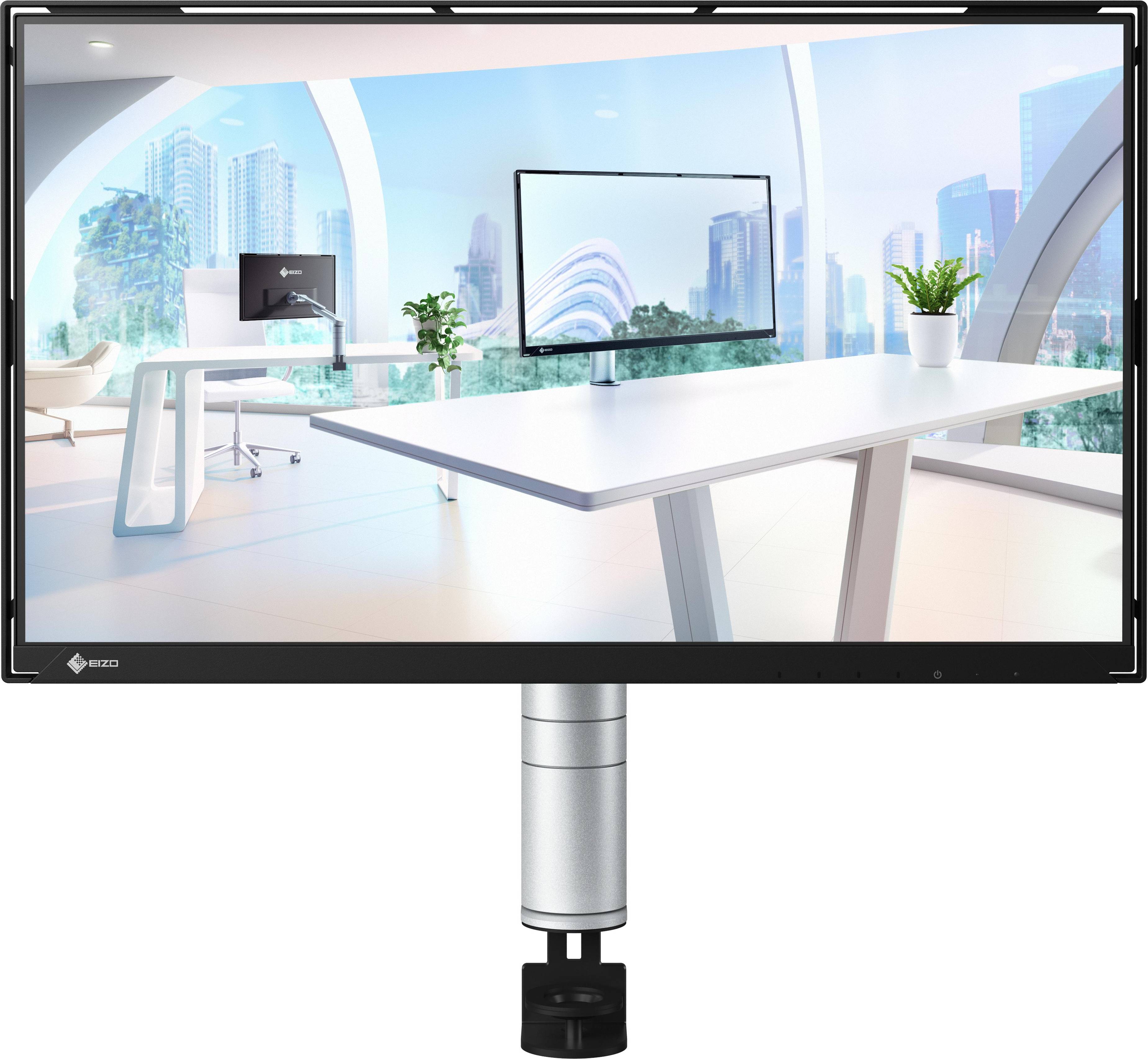 Eizo FlexScan FLT 23.8 Full HD Computer Screen