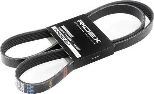 Ridex 305P0239 V-Ribbed Belt