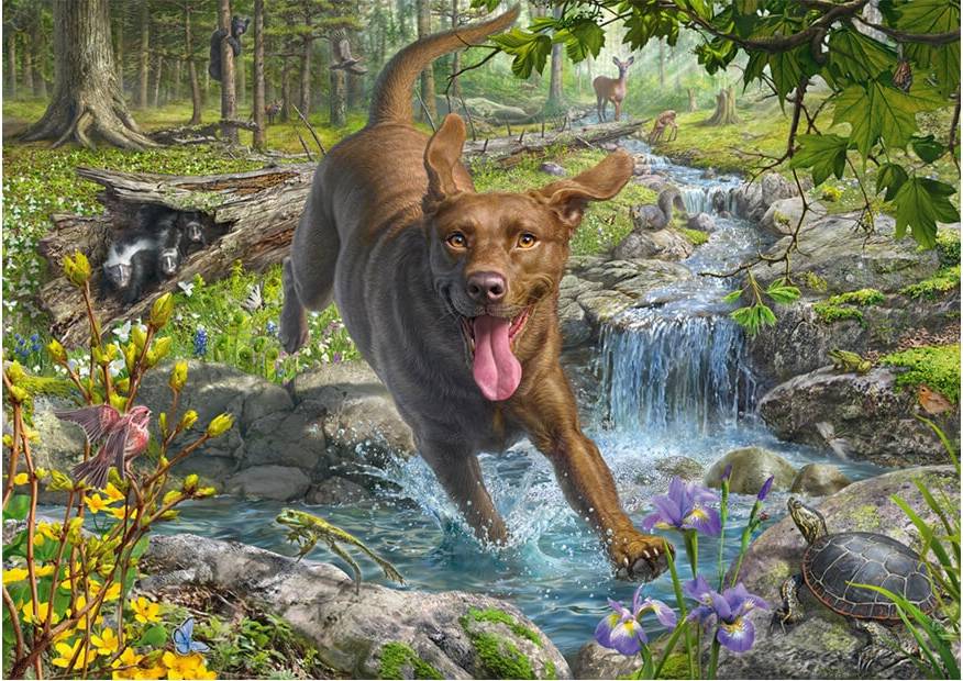 Schmidt Springtime Cavorting with a Labrador Retriever
