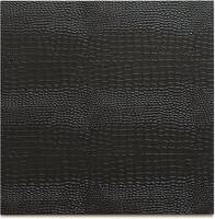 Set of Two Placemats Python