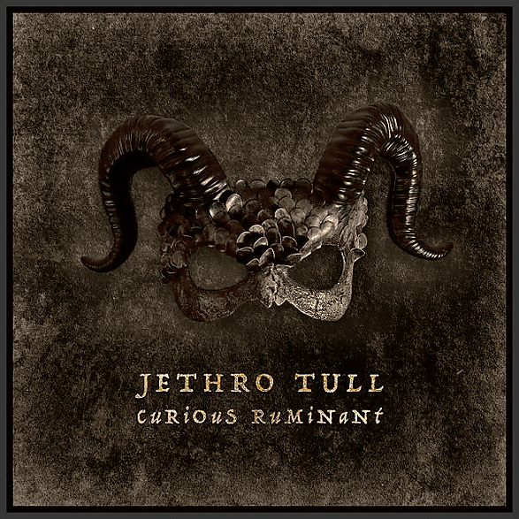 Jethro Tull Curious Ruminant (CD)
