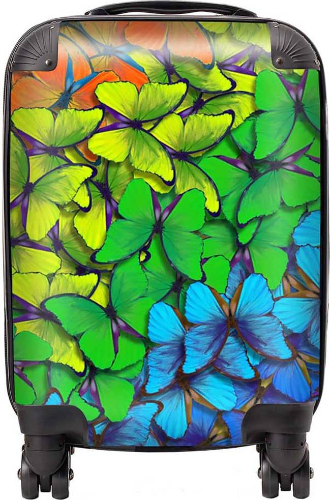 Warren Reed Multicoloured Butterfly Pattern Suitcase Small