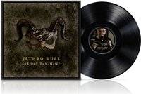 Curious Ruminant - LP (Vinyl)