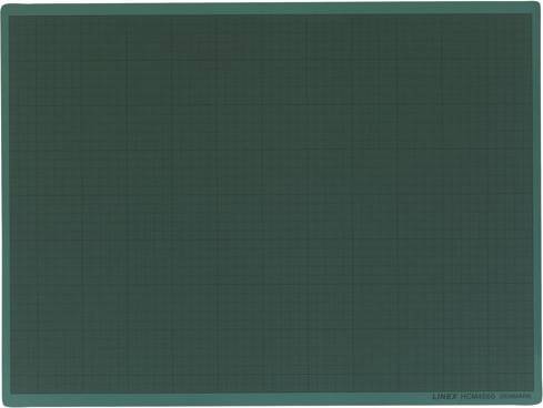 HCM 4560