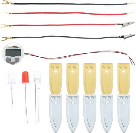 Fruit Battery Science Experiment Kit