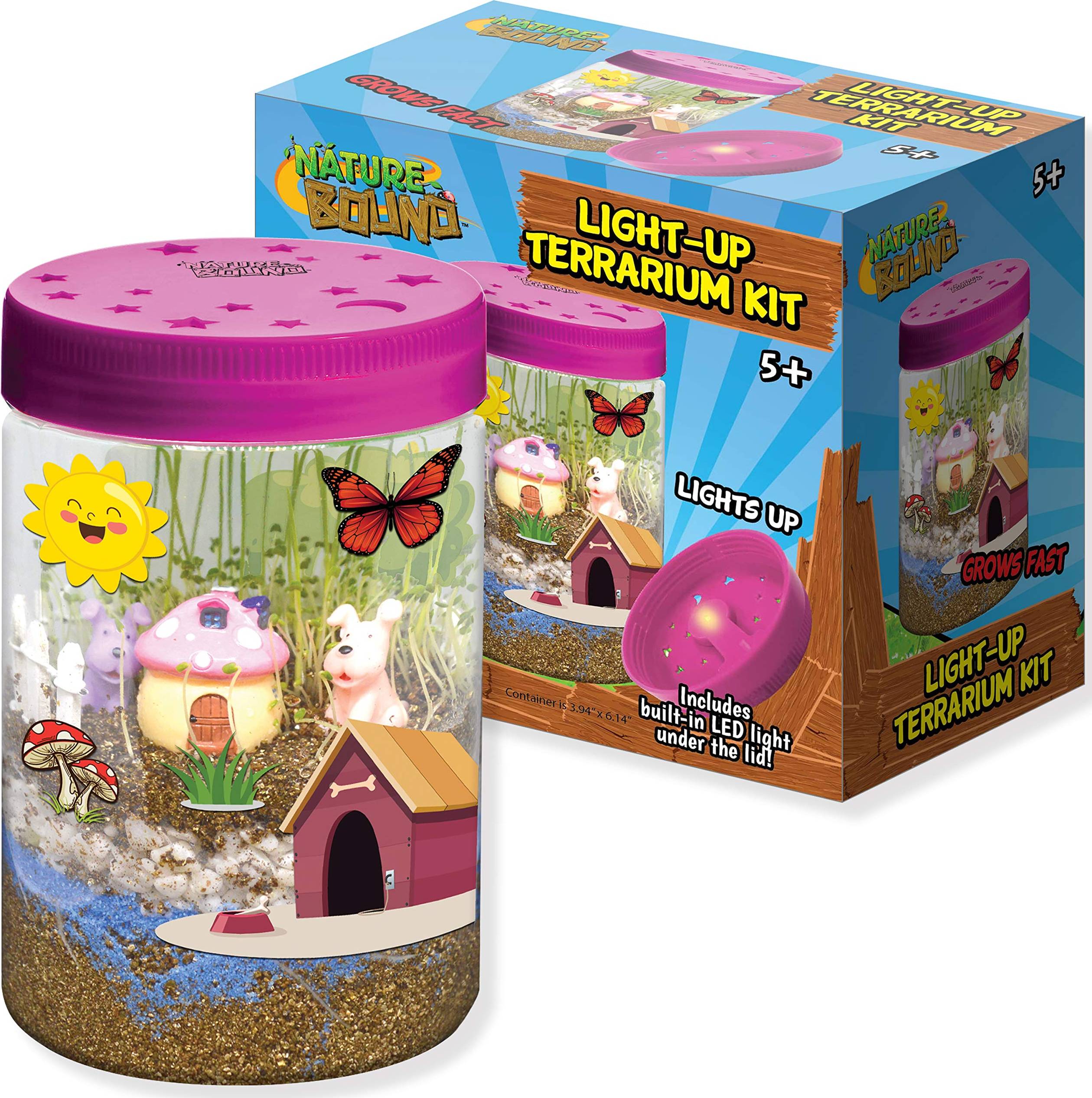 Terrarium kit Nature Bound Light-Up Terrarium Kit