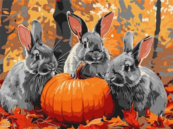 Adventures With A Rabbit 30 x 40