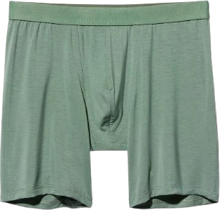 CDLP Boxer Brief Long - Sage