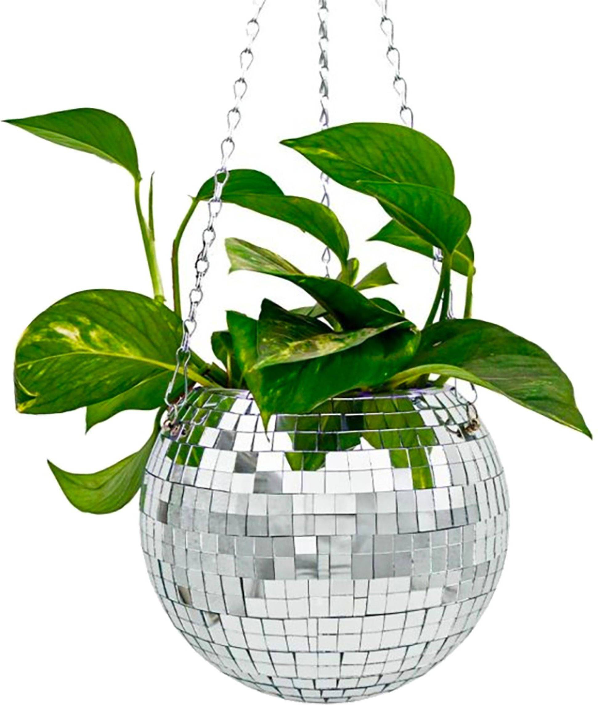Funky Disco Planter