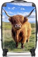 Warren Reed Highland Cow In Summer Suitcase Multi Medium