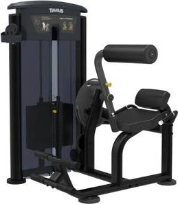 Elite Back Extension Machine