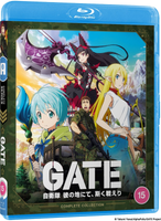 Gate Standard