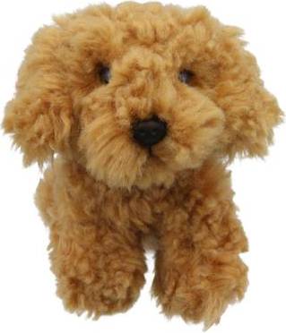 The Puppet Company Cockapoo Soft Toy Paperback