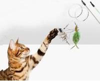 All For Paws Insect Cat Teaser Style Fly