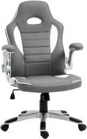 Homcom Racing Gaming Chair