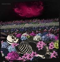 Dead Rabbitts Redefined (LP) (Vinyl)