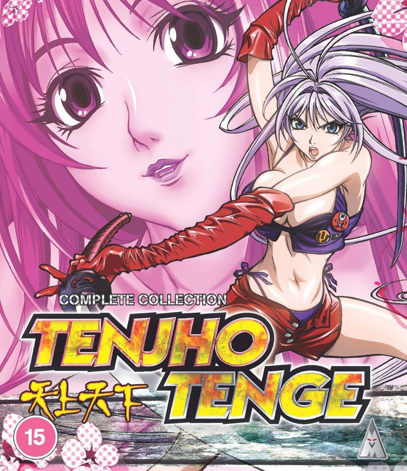 Tenjho Tenge Collection Standard Edition