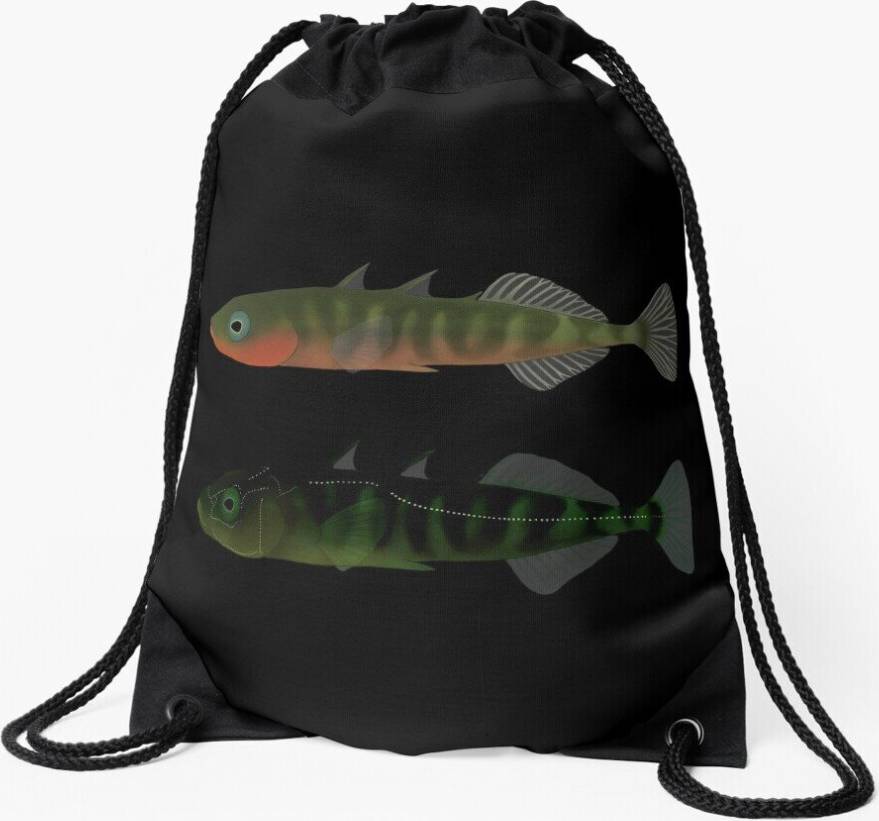 Famgem Drawstring Bag Stickleback Fish - Lateral Line Stain