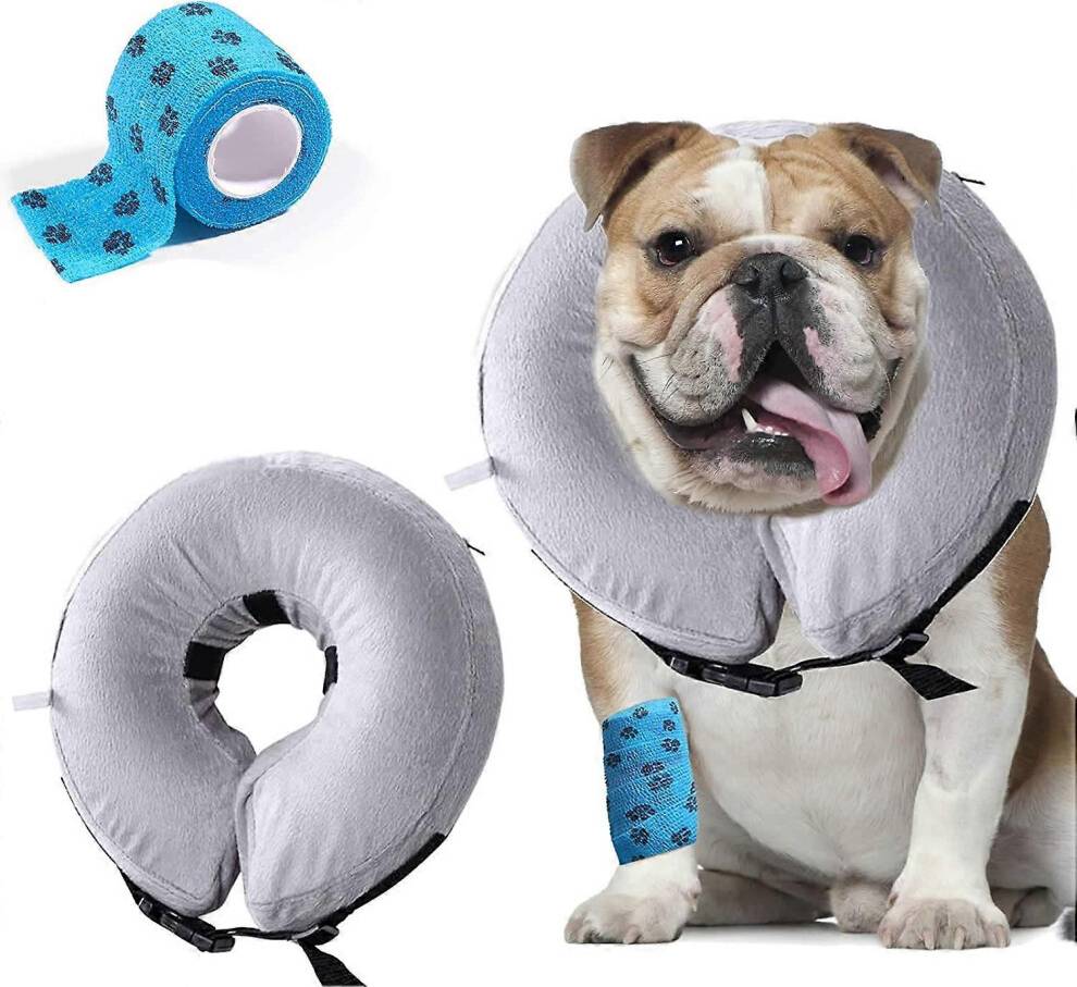 Konhill Pet Inflatable Basic Dog Collars for Large Dogs