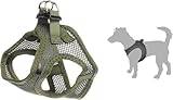 Step&Go Bento Dog Harness - Grün