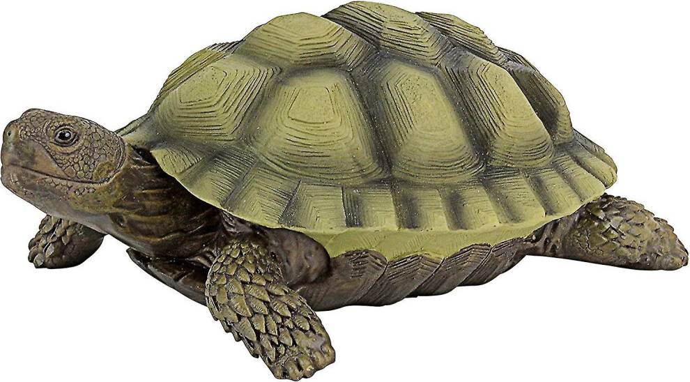 Gilbert Box Turtle Garden Decorative Animal Statue 9 Inch