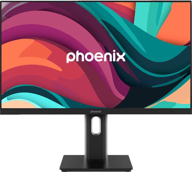 ESSENCE24PRO 24 Full HD Monitor