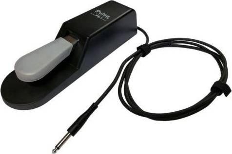 PS01