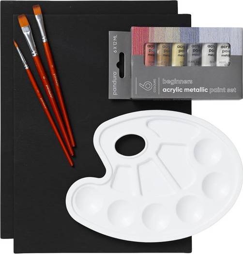 Beginners Acrylic Metallic Paint Kit