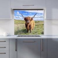 Warren Reed Highland Cow In Summer Kitchen Splashback 900mm x 750mm Splash Guard