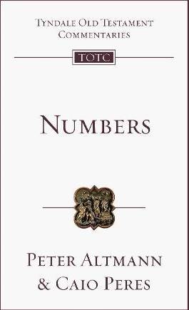 Numbers An Introduction and Commentary (Häftad, Inbunden)