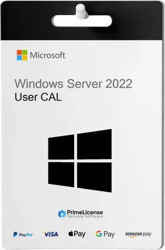 Microsoft Windows SQL Server 2022 Standard CAL