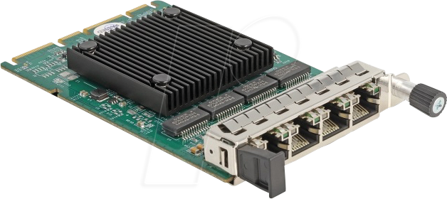 DeLock Netværksadapter Open Compute Project