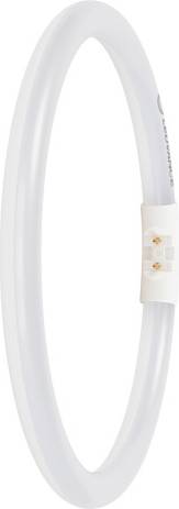 LEDVANCE LED Ring Tube T5FC 2GX13