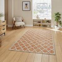 Coral H1063 Digitally Printed Rug