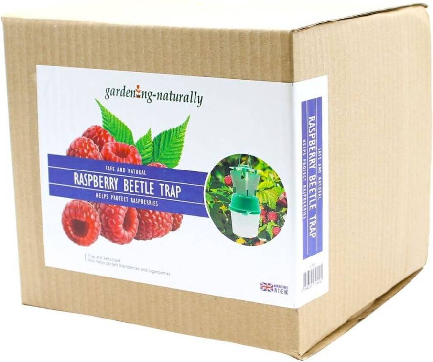 Gardening-Naturally Raspberry Beetle Trap and Refill