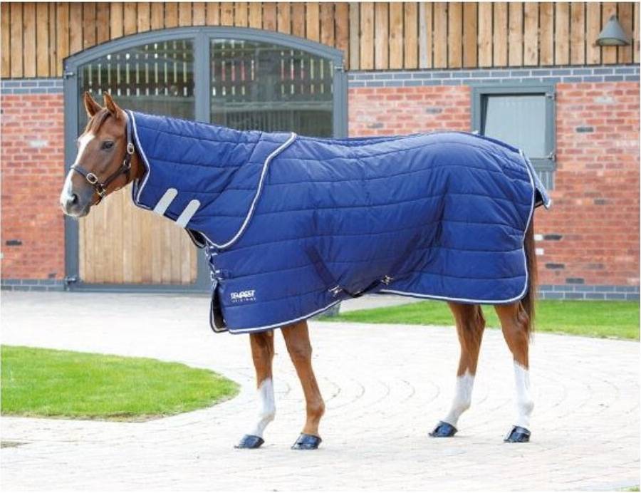 Shires Tempest Original 200 Stable Rug & Neck Set - Navy