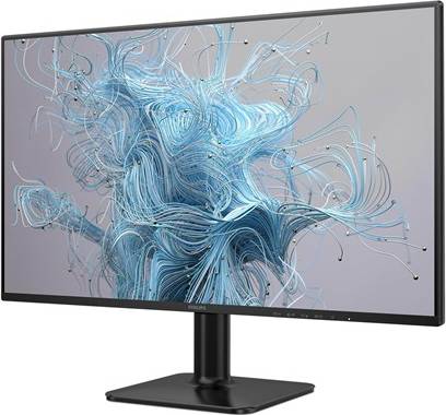 Philips 24E2N1110 24 Inch Full HD LED Monitor
