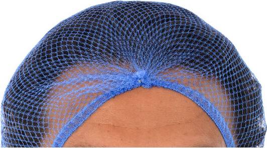 Beeswift Detectable Hairnet - Blue