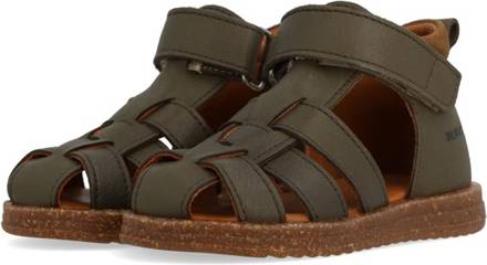 Angulus Sandal - Forrest/Mustard