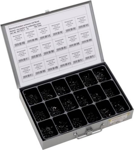 SWG Screws Assortment