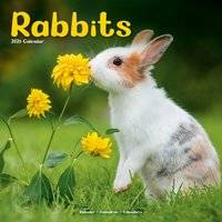 Kalender 2026 Avonside Kalender 2026 30x30 Rabbits